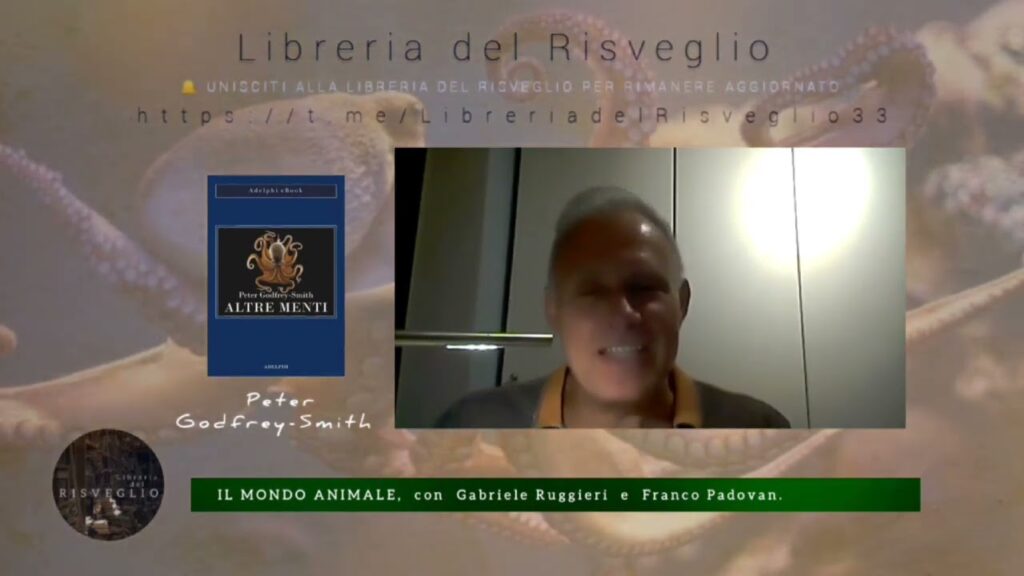 Il Polpo – Il Mondo Animale, con Gabriele Ruggieri e Franco Padovan.