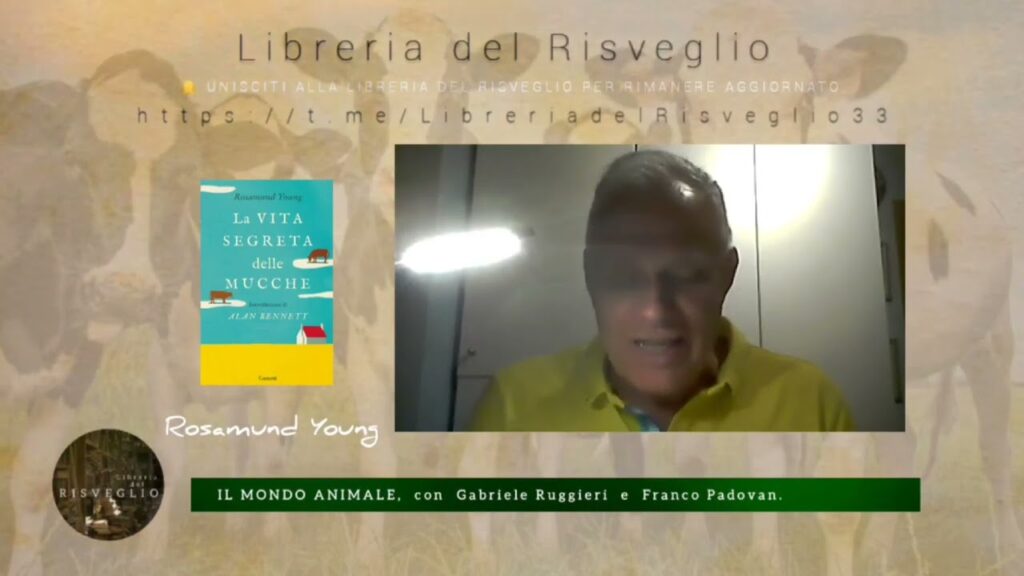 LA VITA SEGRETA DELLE MUCCHE – Il Mondo Animale, con Gabriele Ruggieri e Franco Padovan