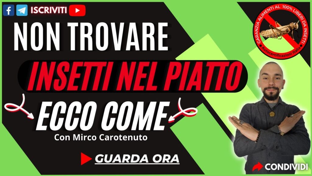 “Fuori gli Insetti dal Piatto” come agire concretamente con Mirco Carotenuto