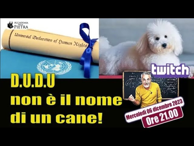 Rocco Bruno – D.U.D.U non è il nome di un cane