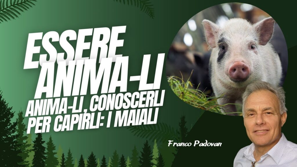 Essere ANIMA-LI : “I Maiali” con Franco Padovan