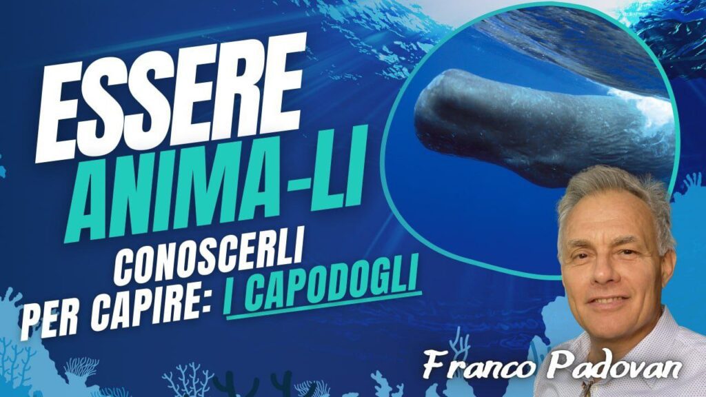 Essere Anima-Li, Conoscerli per capire: I Capodogli ( con Franco Padovan )
