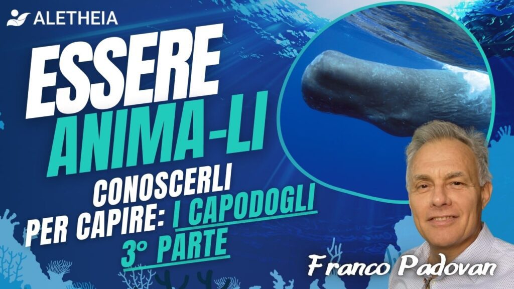Essere Anima-Li, Conoscerli per capire: I Capidogli 3° Parte ( con Franco Padovan )