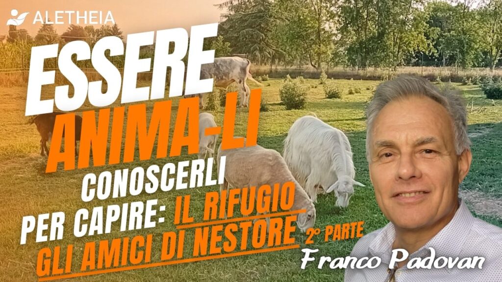 Essere Anima-Li conoscerli per capire: il Rifugio Gli Amici di Nestore 2° Parte ( con Franco Padovan )