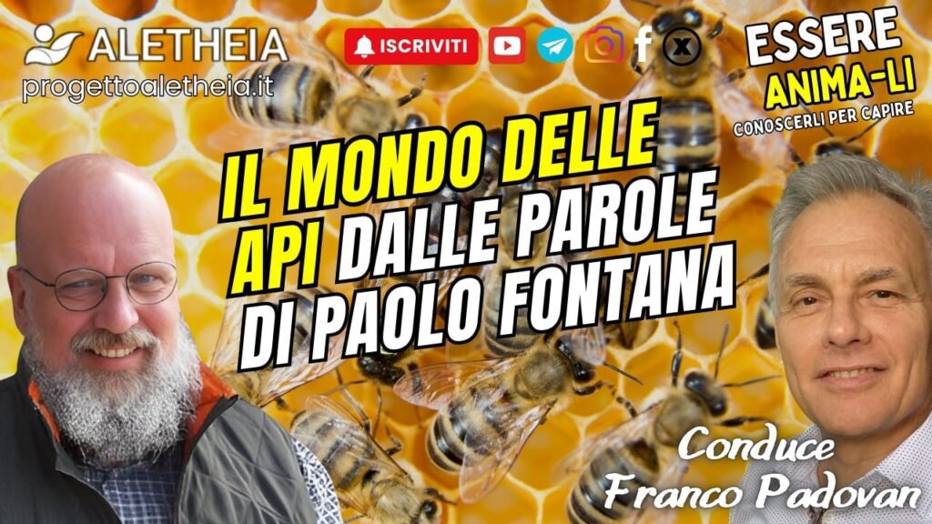 Il mondo delle Api, dalle parole di Paolo Fontana – con Franco Padovan –