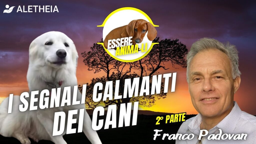 Essere Anima-Li conoscerli per capire: i segnali calmanti dei cani 2° parte – con Franco Padovan –