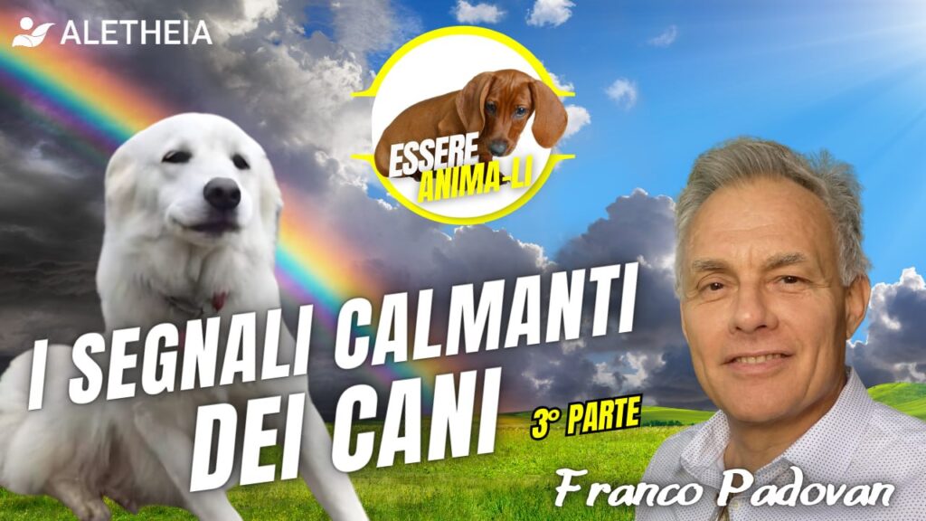 Essere Anima-Li conoscerLi per capire: i segnali calmanti dei cani 3° parte – con Franco Padovan –