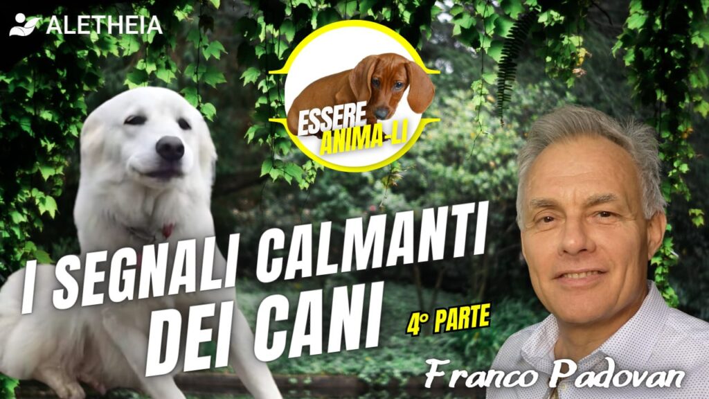 I segnali calmanti dei cani 4° parte – con Franco Padovan –