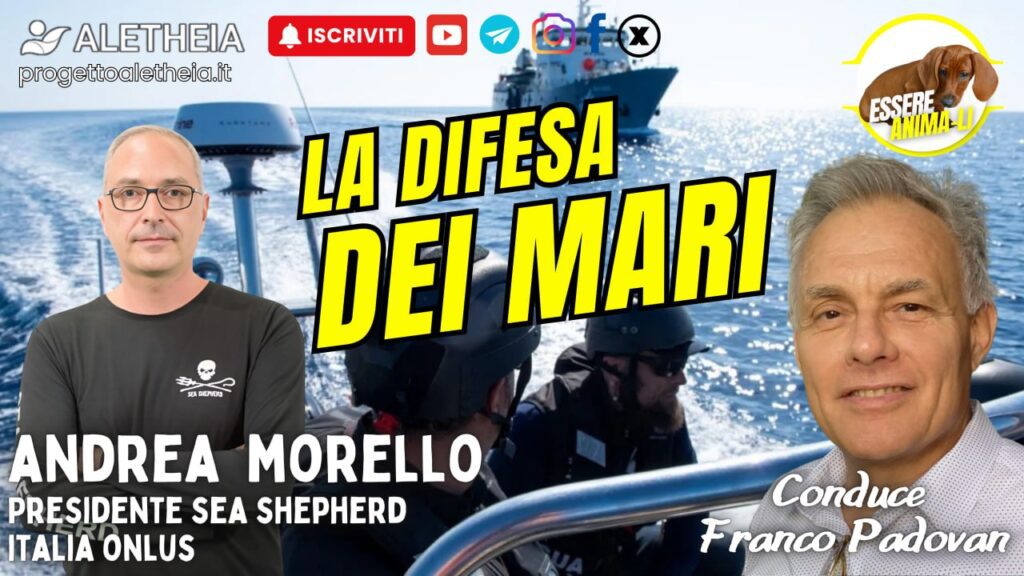 La difesa dei mari, intervista ad Andrea Morello Presidente di Sea Shepherd Italia – conduce Franco Padovan